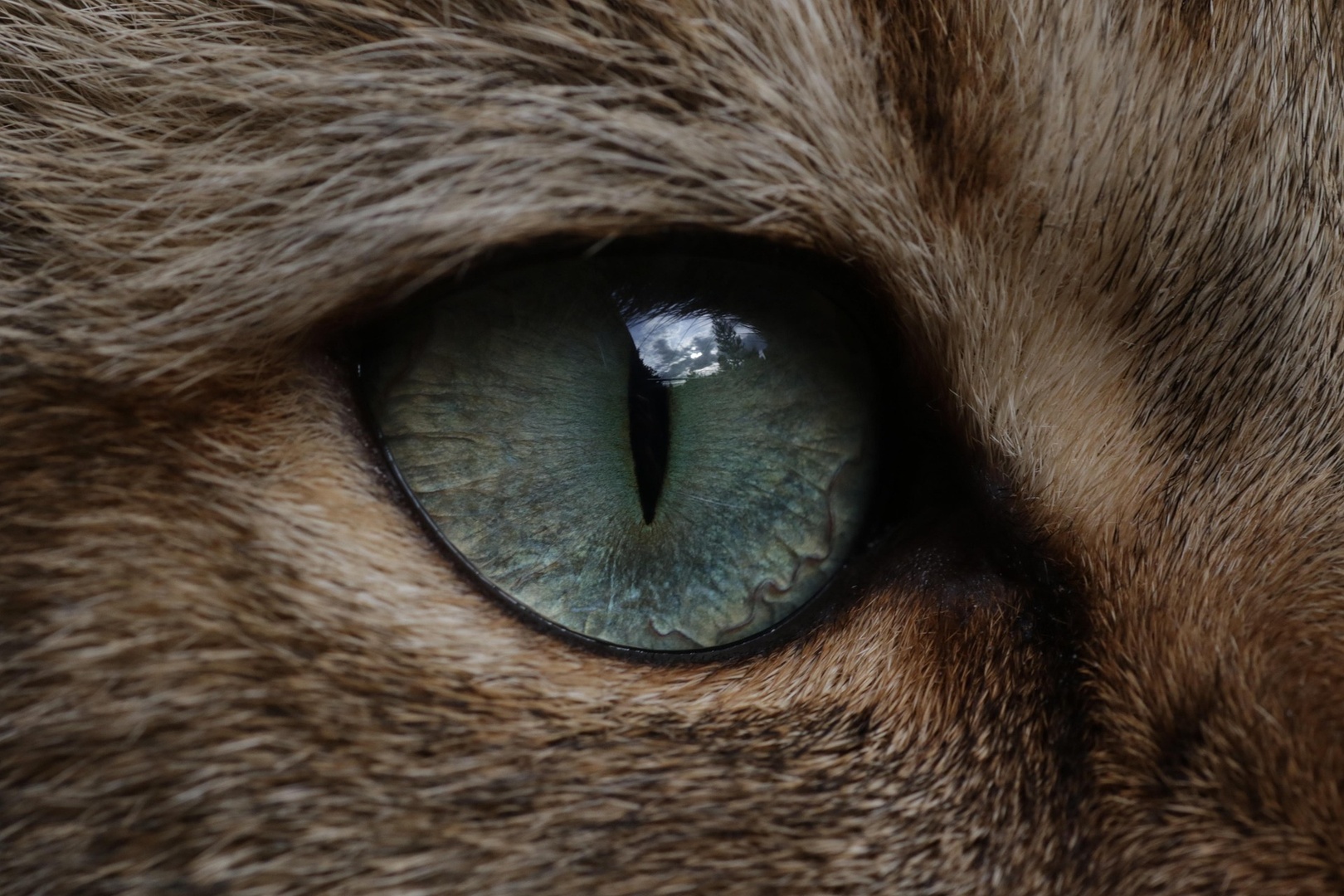 Instalaciones de gestión